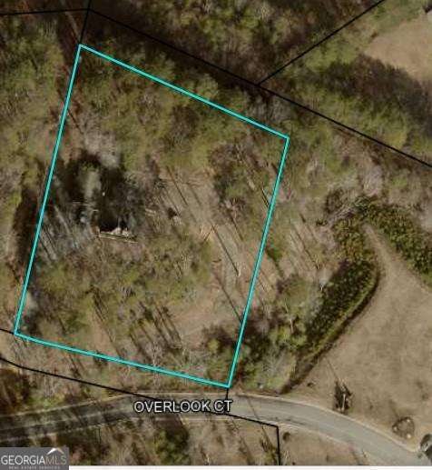 27 Williams Circle Blairsville - Photo 48