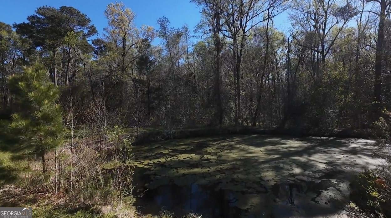 440 Pecan Lane Guyton - Photo 31