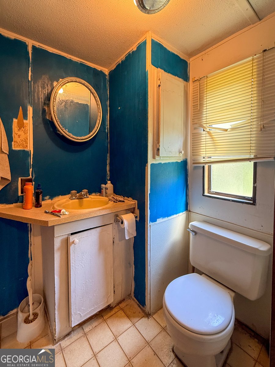 126 Denver Whitworth Road Eastanollee - Photo 13