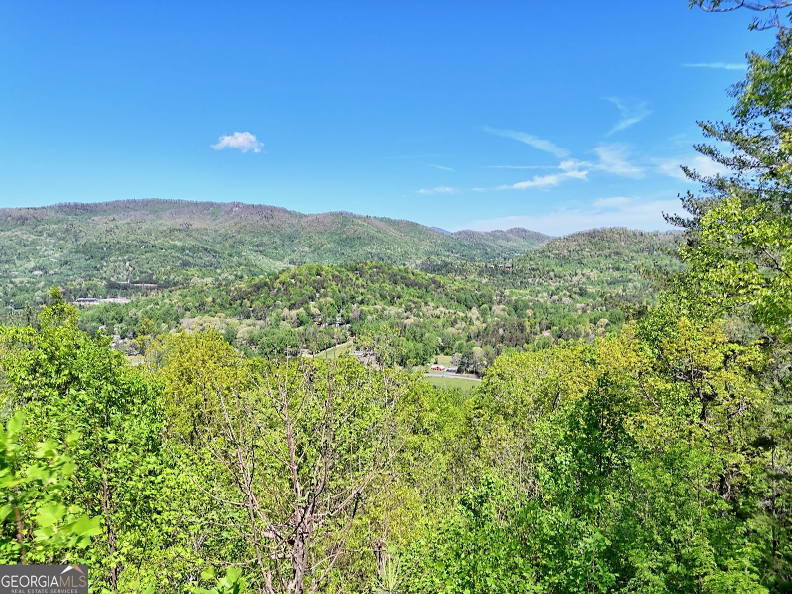 747 Screamer Drive Clayton - Photo 37