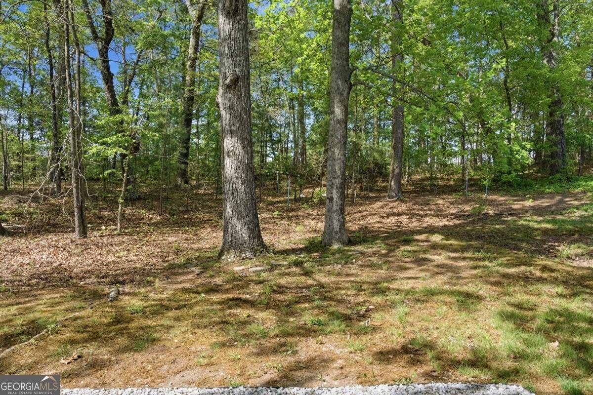 2598 Hencley Circle Marietta - Photo 38