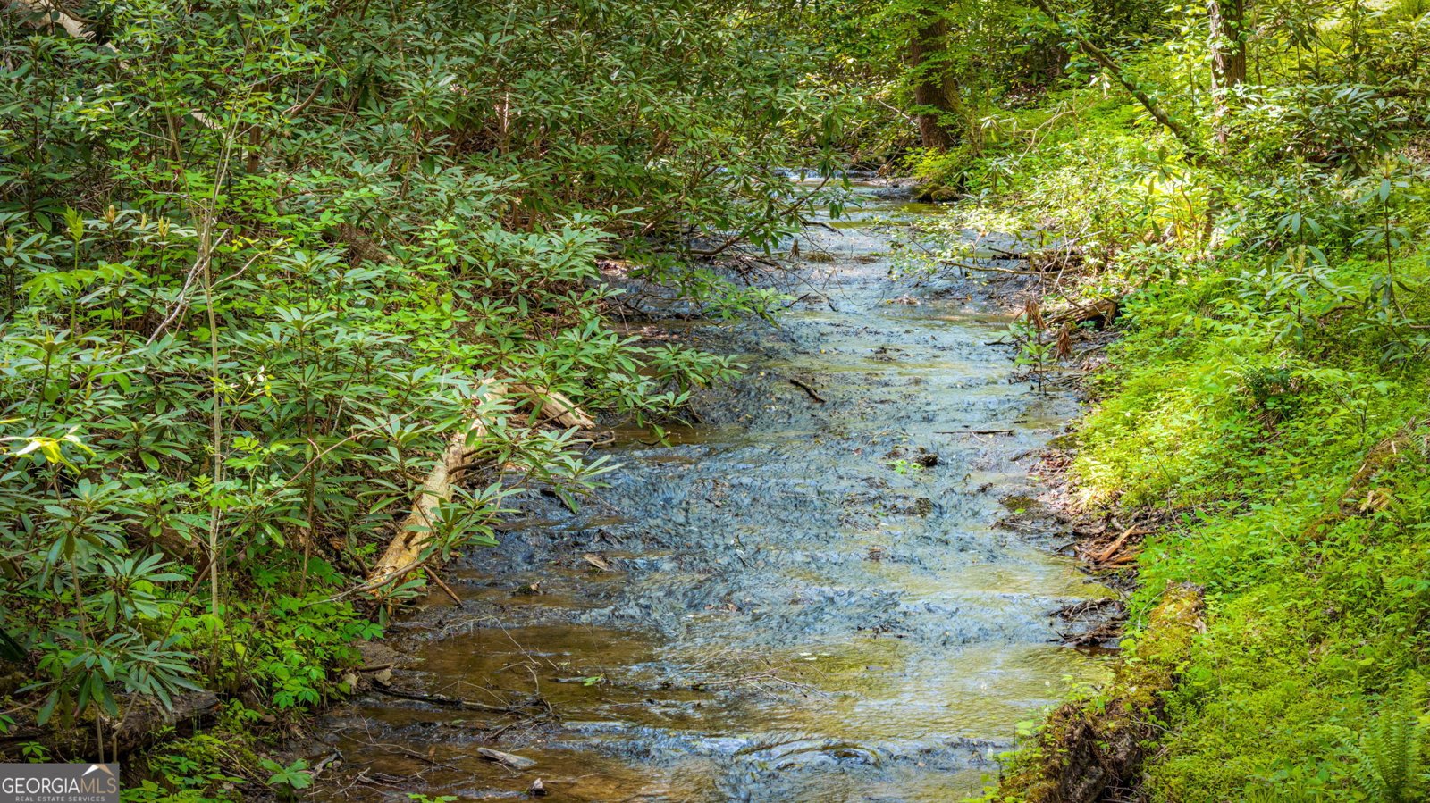 180 Down Under Road Blue Ridge - Photo 42