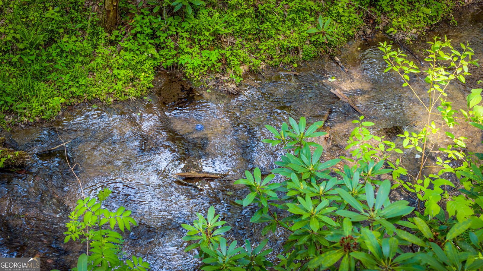 180 Down Under Road Blue Ridge - Photo 44