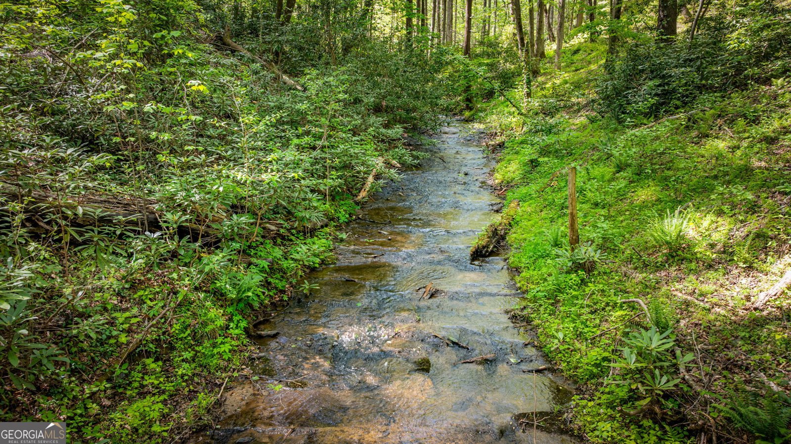 180 Down Under Road Blue Ridge - Photo 48