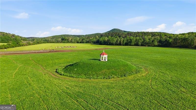 204 Doe Run Sautee Nacoochee - Photo 40