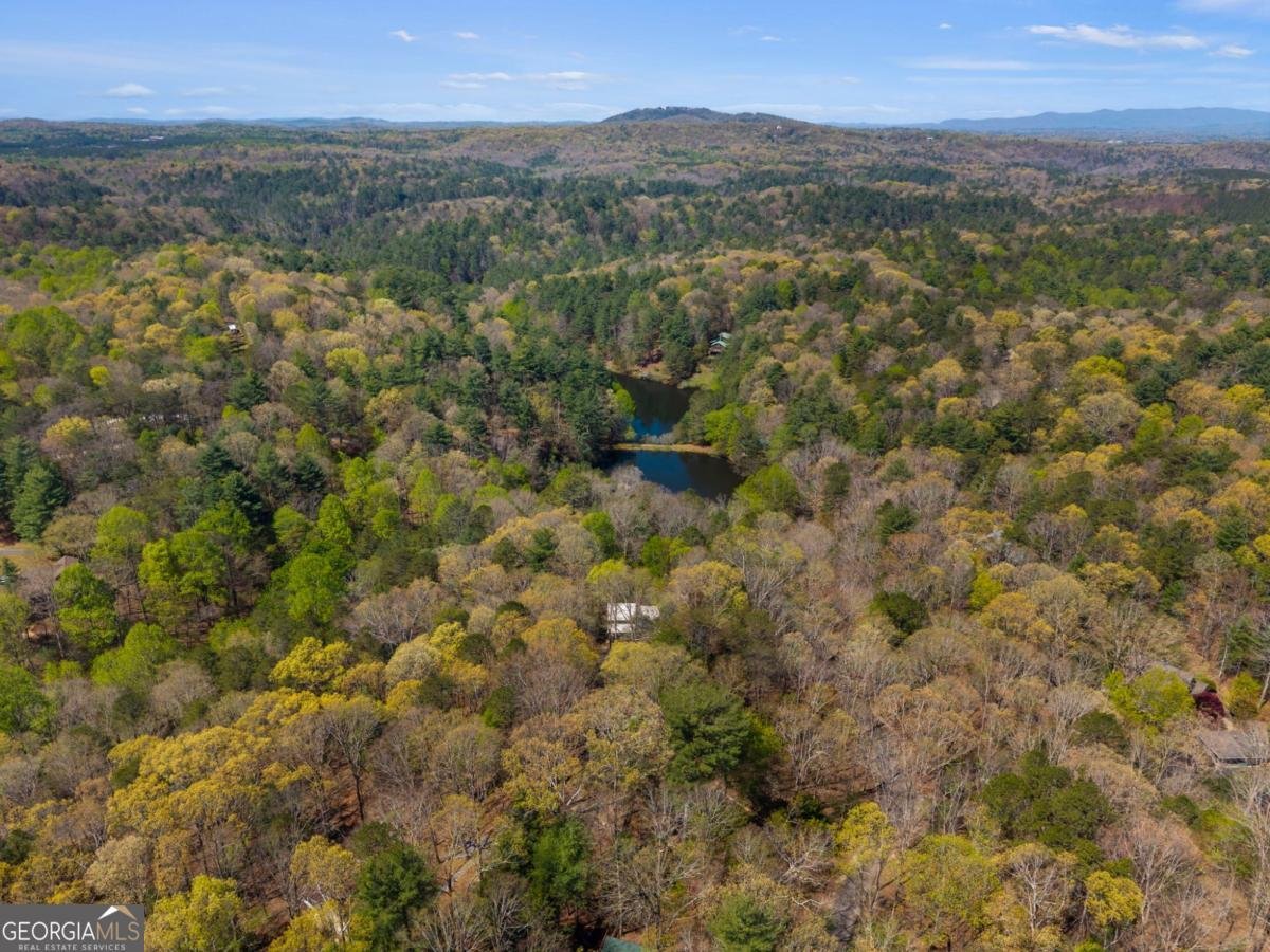 152 Misty Hollow Ridge Ellijay - Photo 39