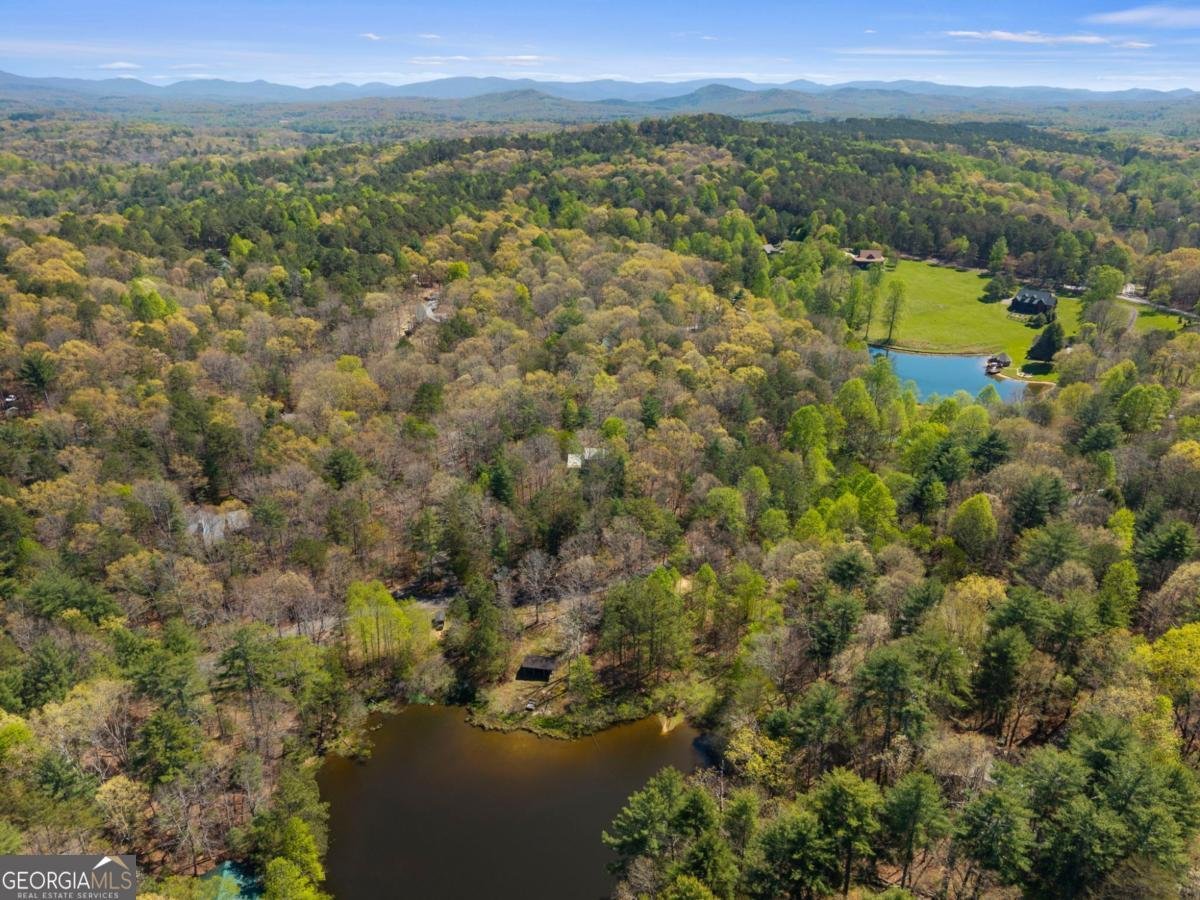 152 Misty Hollow Ridge Ellijay - Photo 40