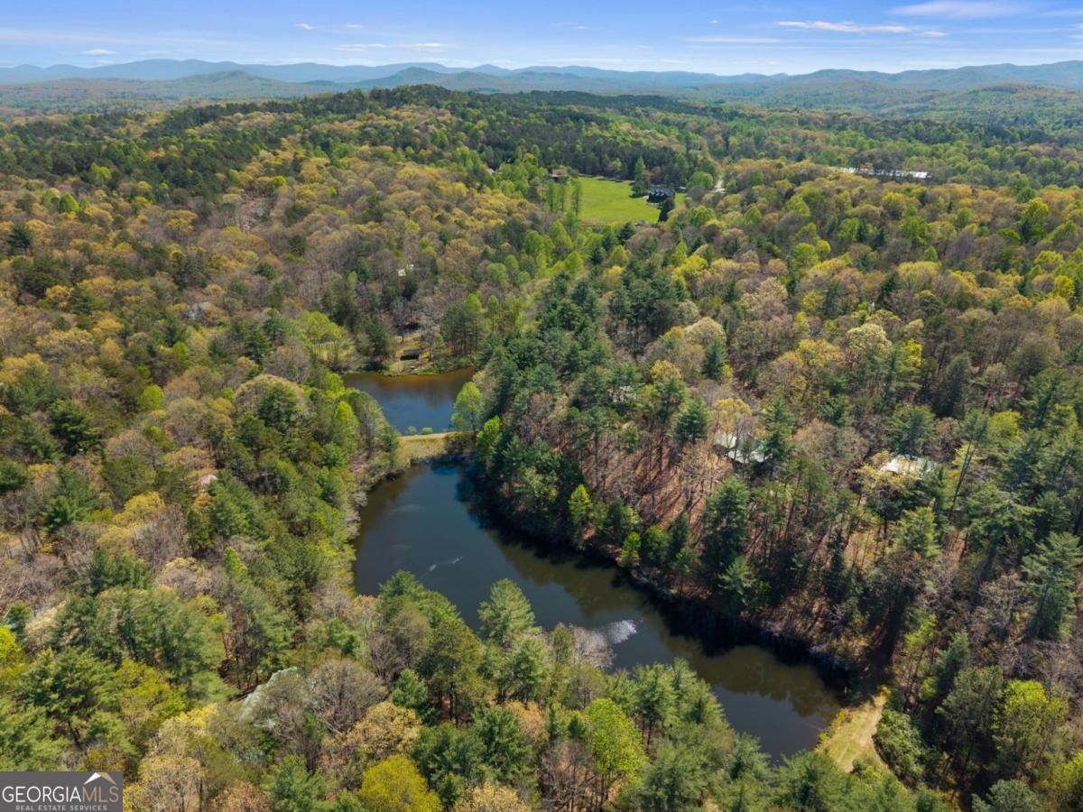 152 Misty Hollow Ridge Ellijay - Photo 41