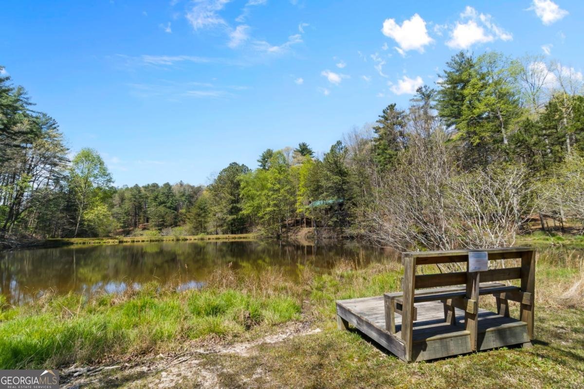 152 Misty Hollow Ridge Ellijay - Photo 42