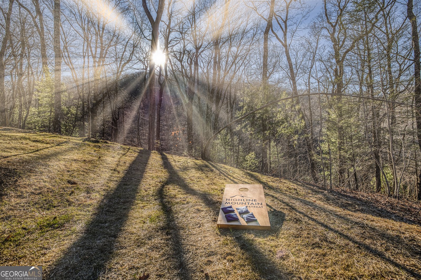 1160 Mangums Trail Blue Ridge - Photo 61