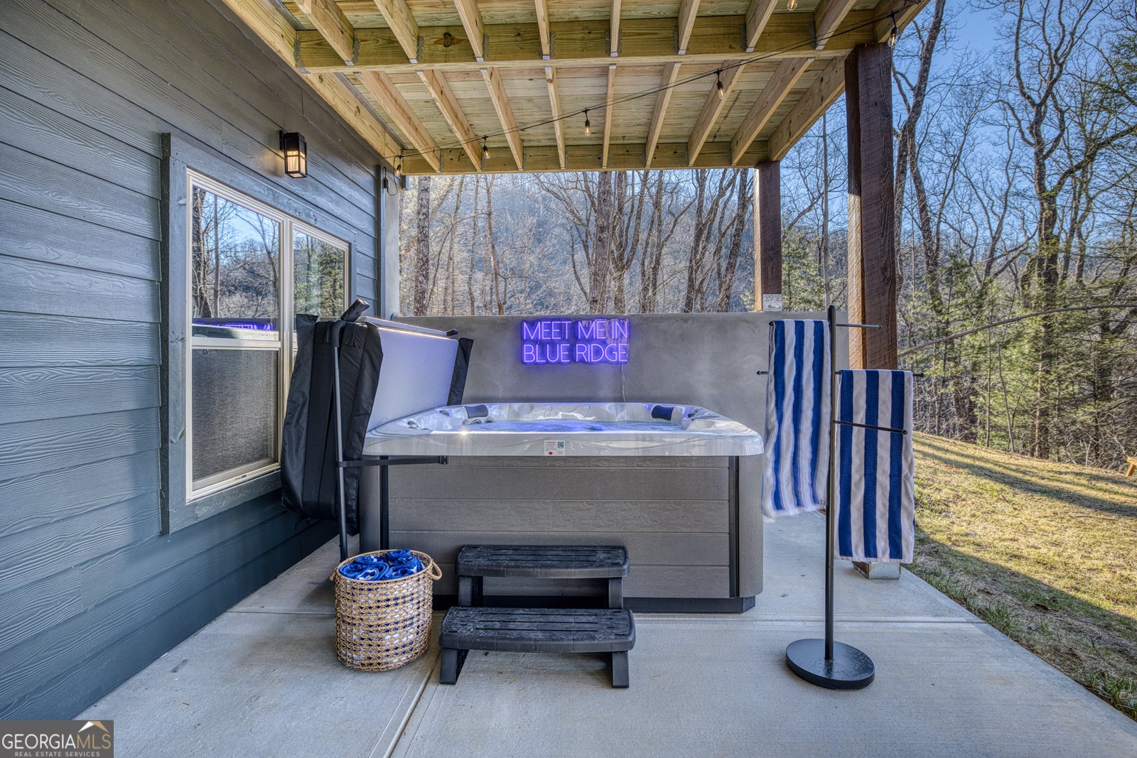 1160 Mangums Trail Blue Ridge - Photo 63