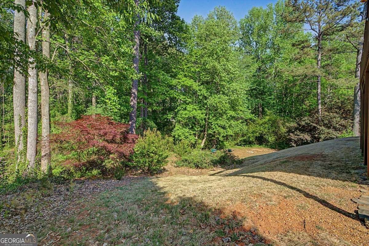 229 Hunters Crossing Dallas - Photo 53