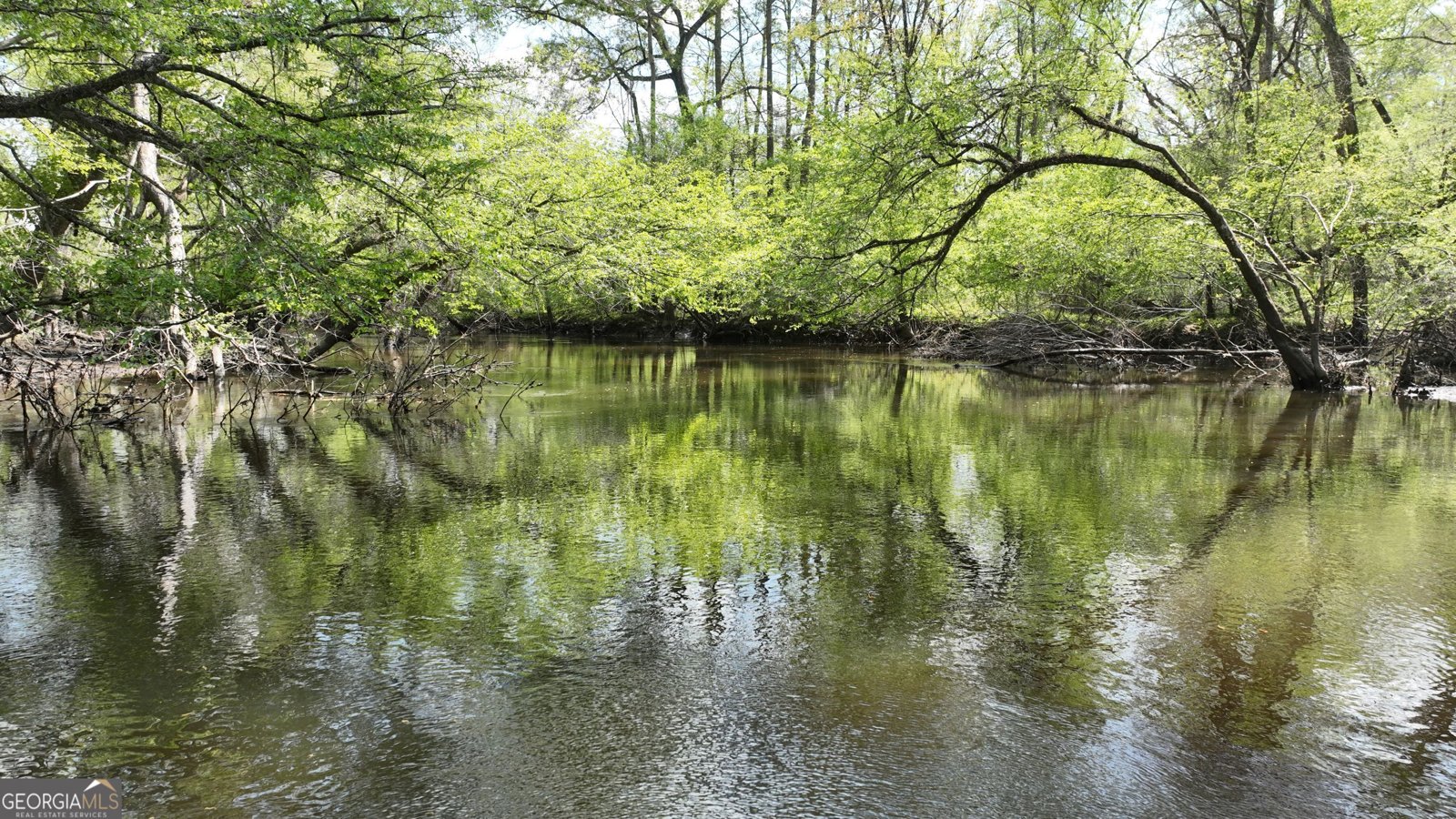 1082 River Street Bartow - Photo 8