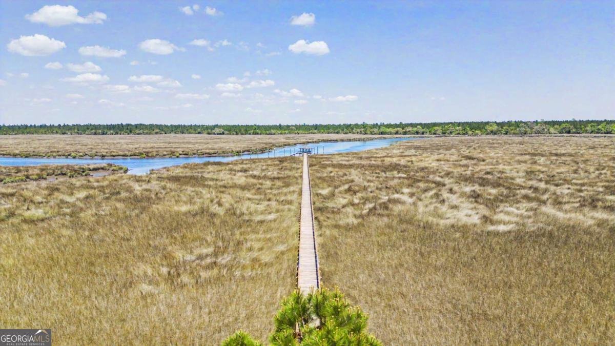 656 Sanderling Trace Waverly - Photo 59