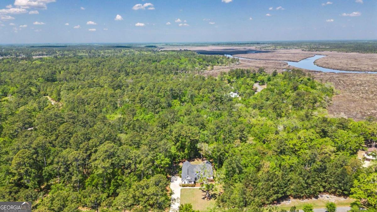 656 Sanderling Trace Waverly - Photo 70
