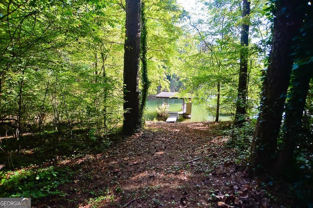 240 Chappell Road Dawsonville - Photo 35