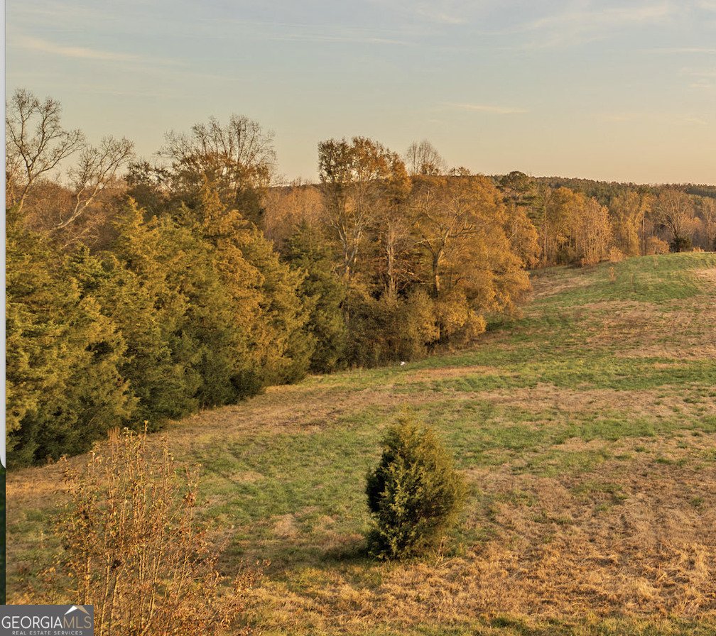 411 Griffin Road Martin - Photo 22