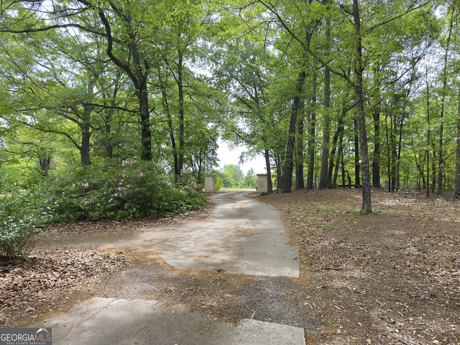 898 Mount Carmel Road McDonough - Photo 32