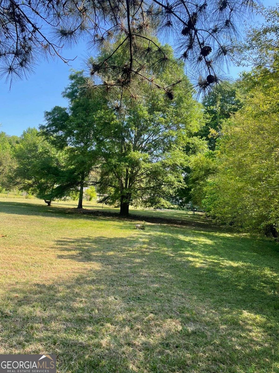 192 Swamp Guinea Road Colbert - Photo 24