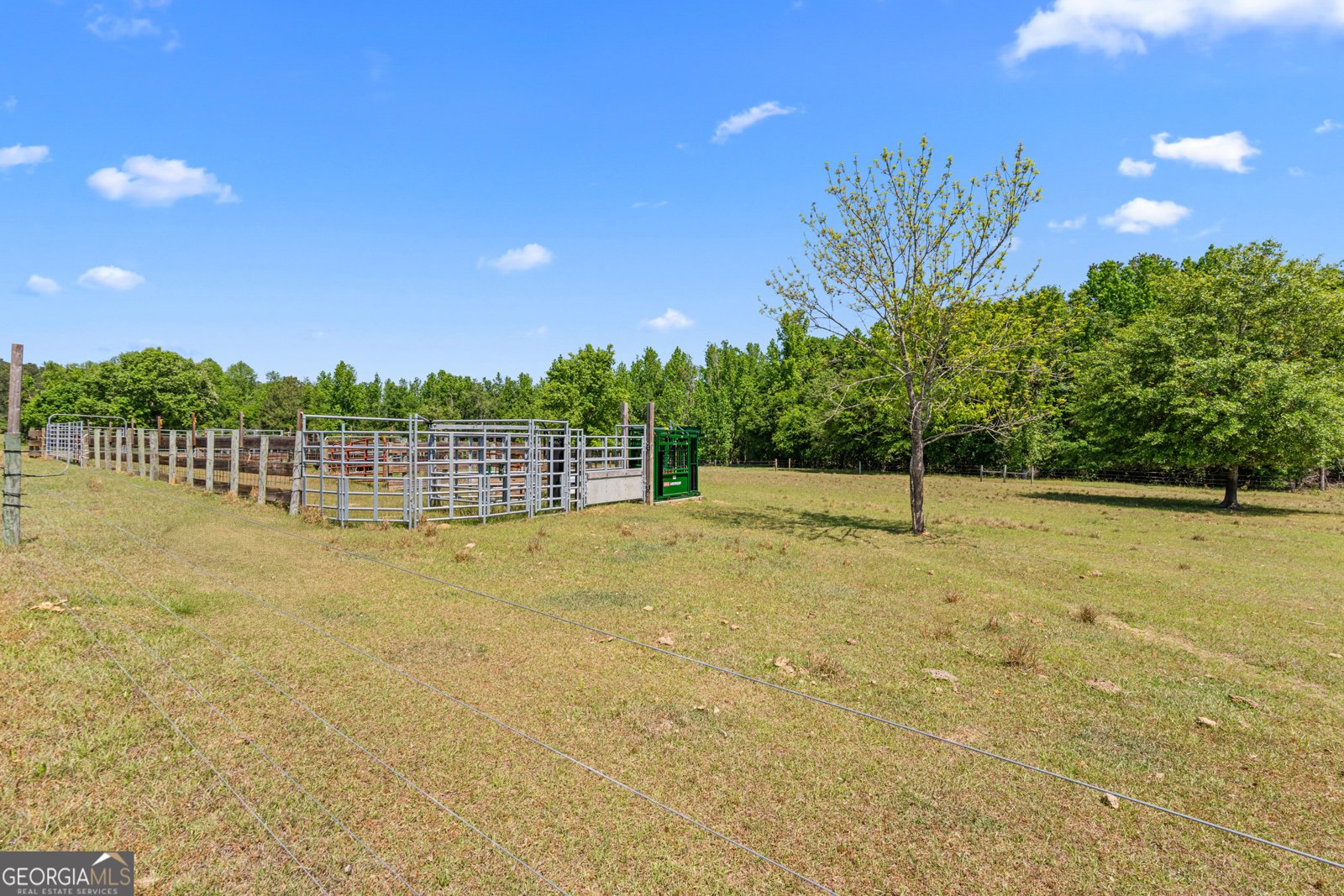 4194 Ivey S. Lane Millen - Photo 44