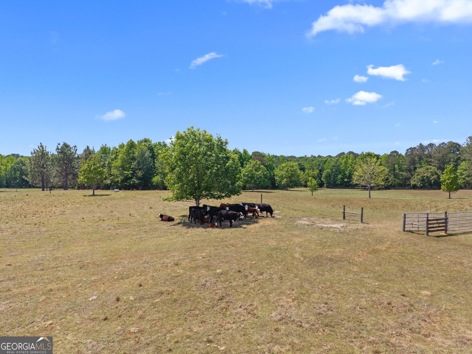 4194 Ivey S. Lane Millen - Photo 45