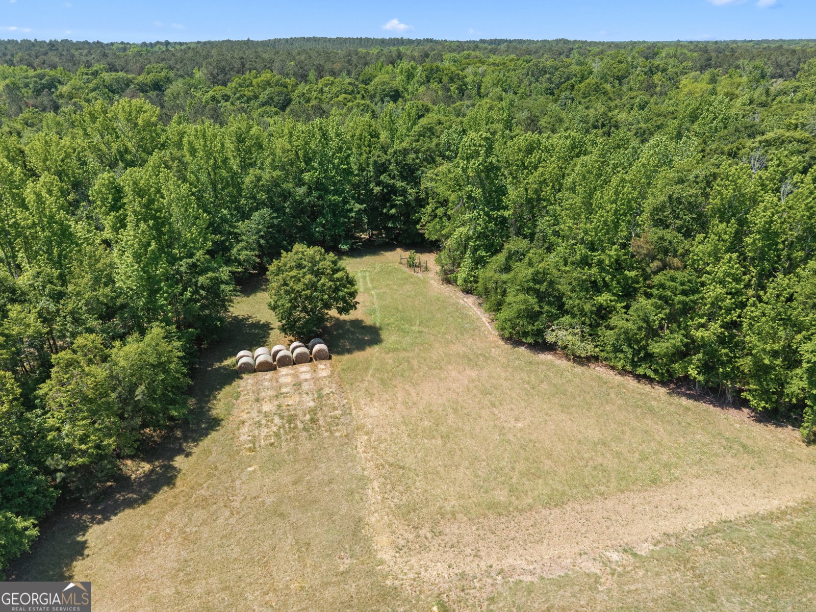 4194 Ivey S. Lane Millen - Photo 49