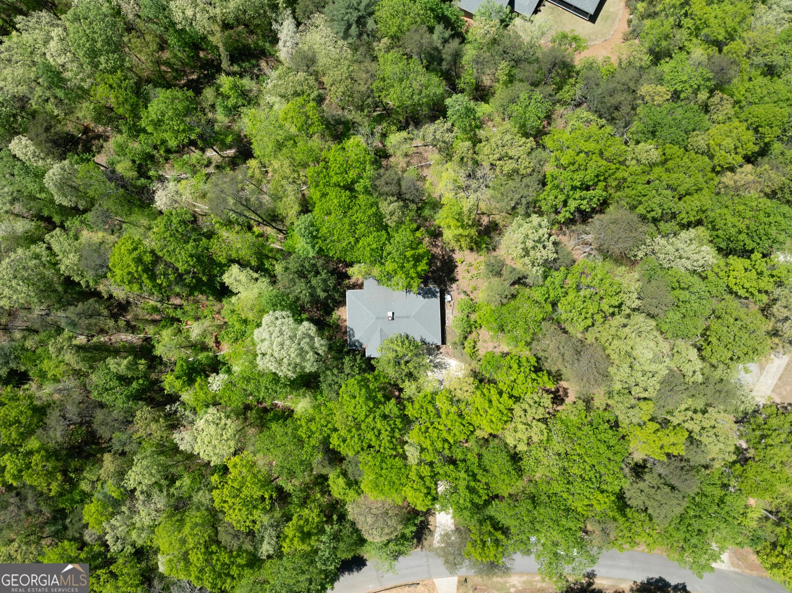 337 Spring Crest Road Cleveland - Photo 45