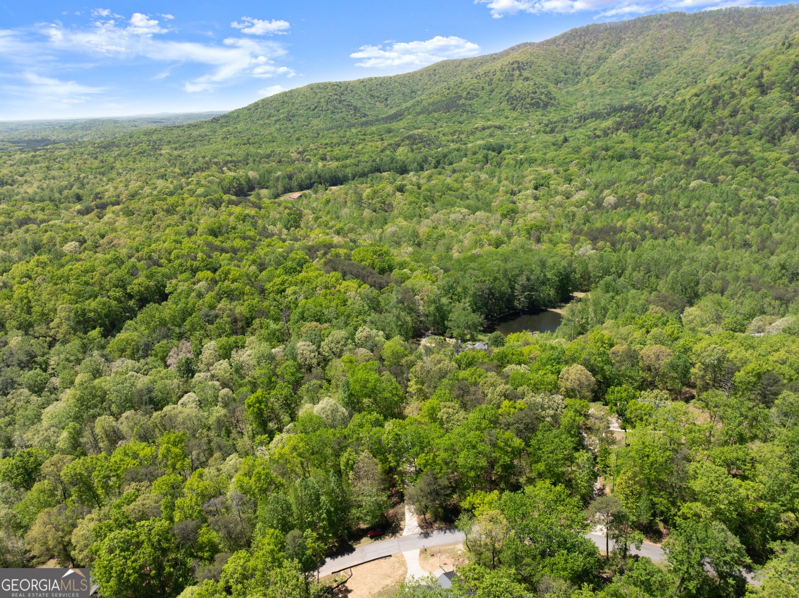 337 Spring Crest Road Cleveland - Photo 46