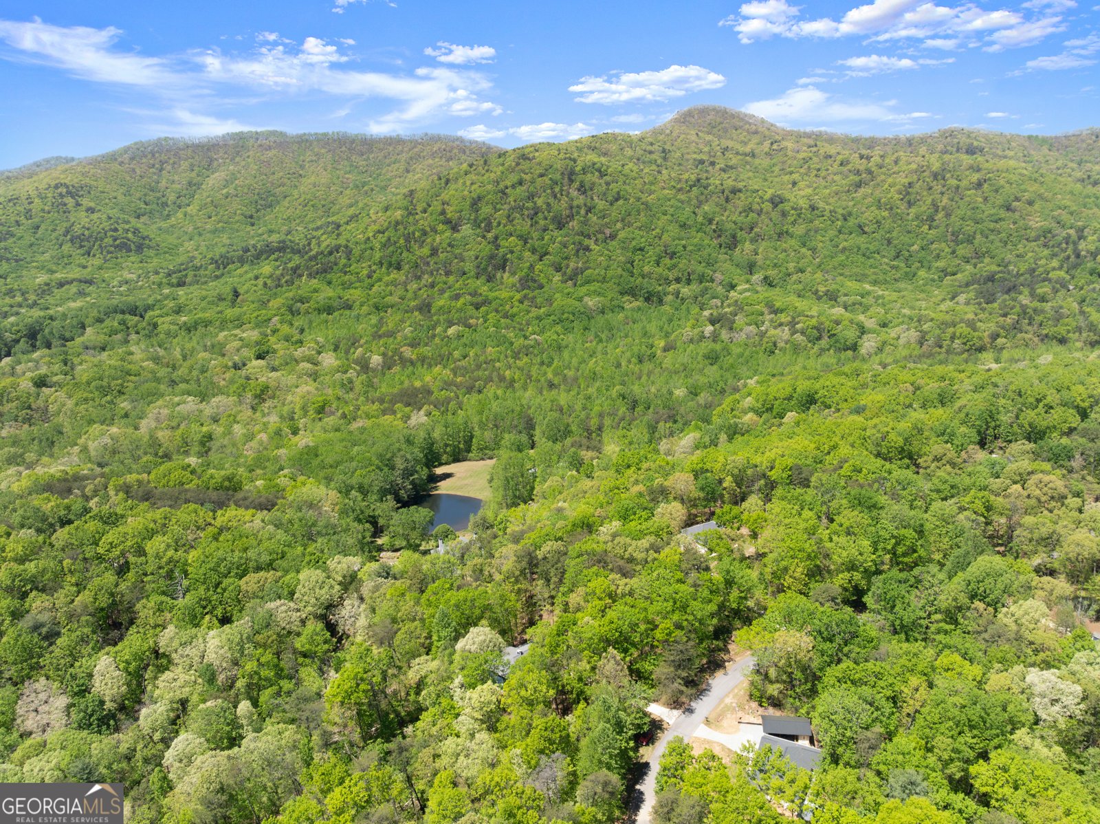 337 Spring Crest Road Cleveland - Photo 48