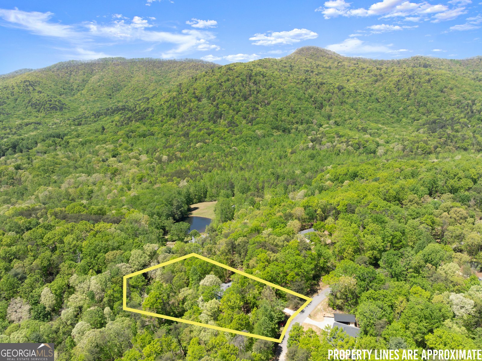 337 Spring Crest Road Cleveland - Photo 49