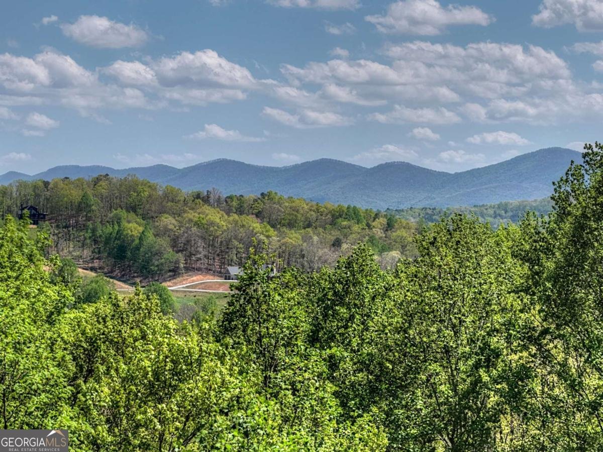 315 Blue Berry Ridge Morganton - Photo 34