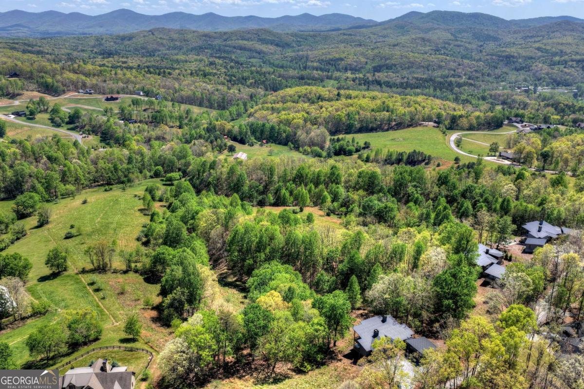 315 Blue Berry Ridge Morganton - Photo 60