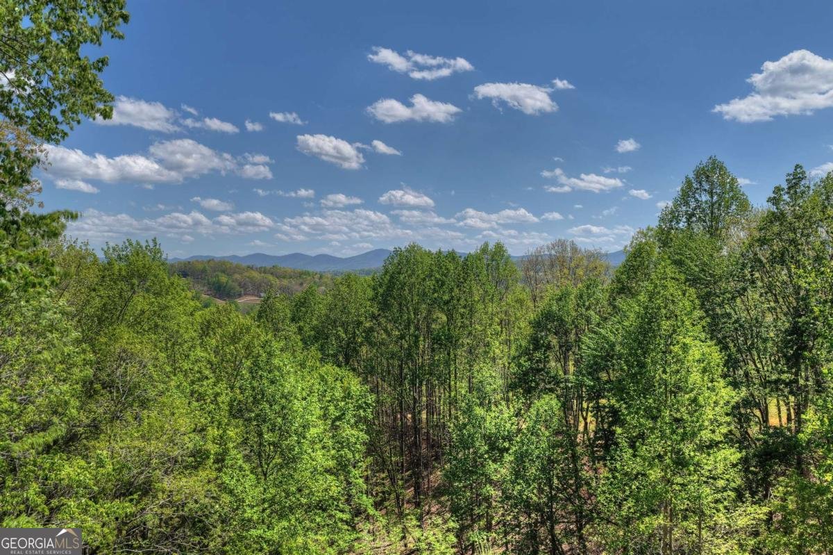 315 Blue Berry Ridge Morganton - Photo 61