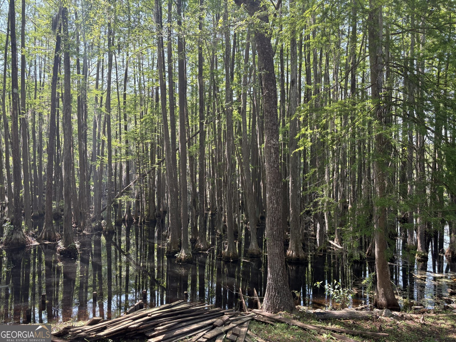 159 Cypress Lake Drive Statesboro - Photo 33