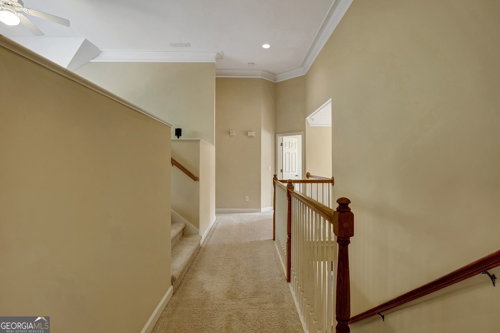 111 Green Branch Drive Tyrone - Photo 29