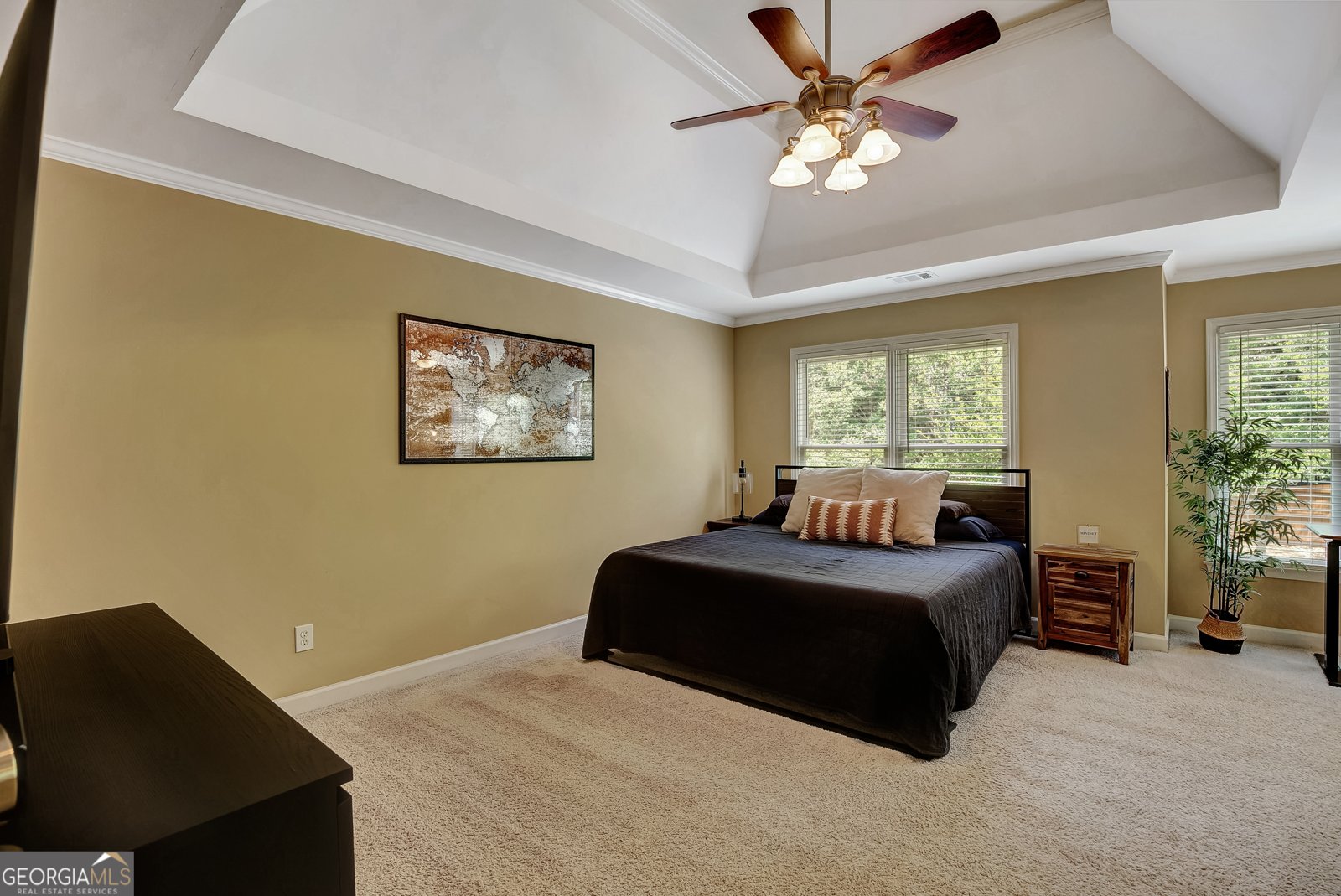 111 Green Branch Drive Tyrone - Photo 34