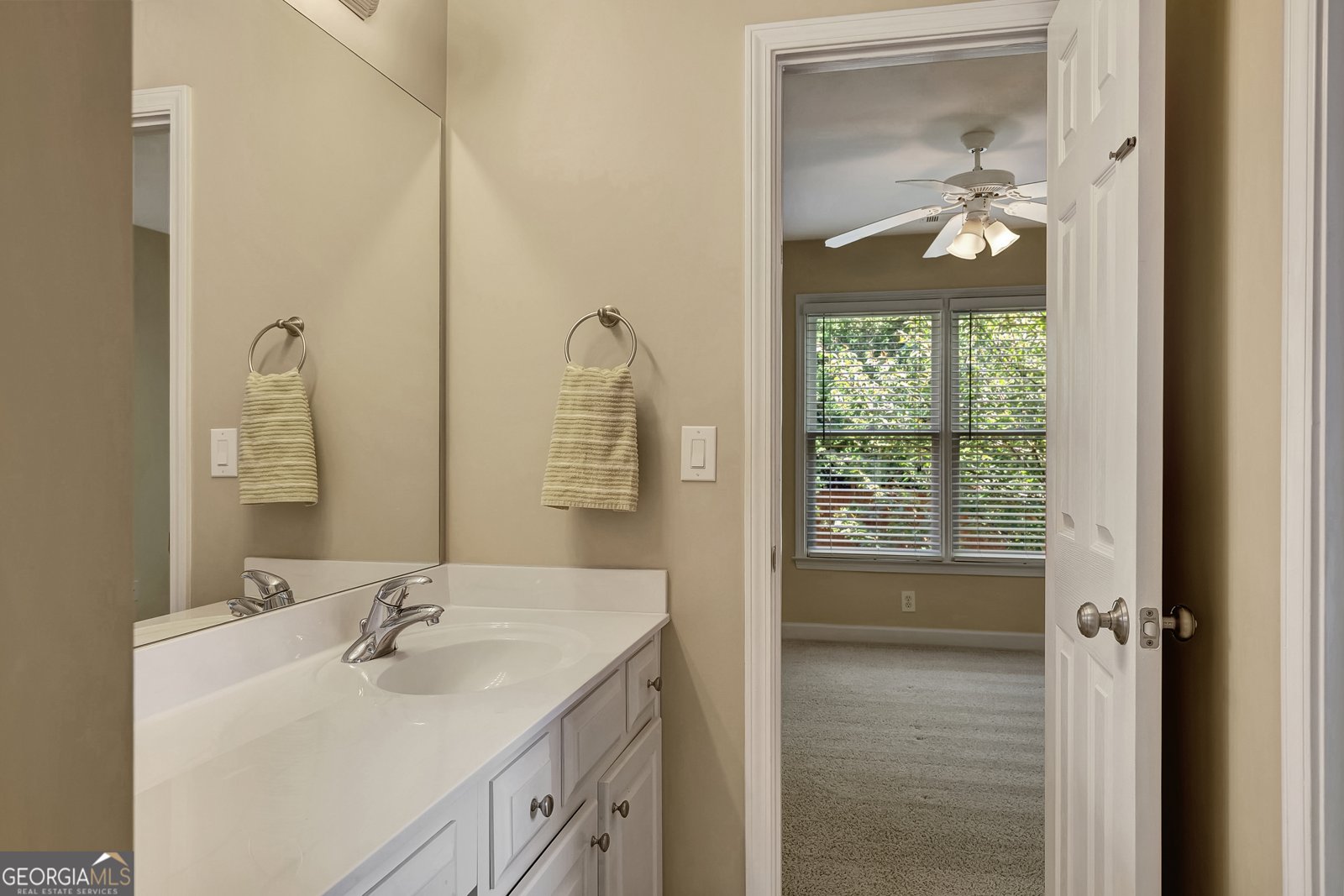 111 Green Branch Drive Tyrone - Photo 47