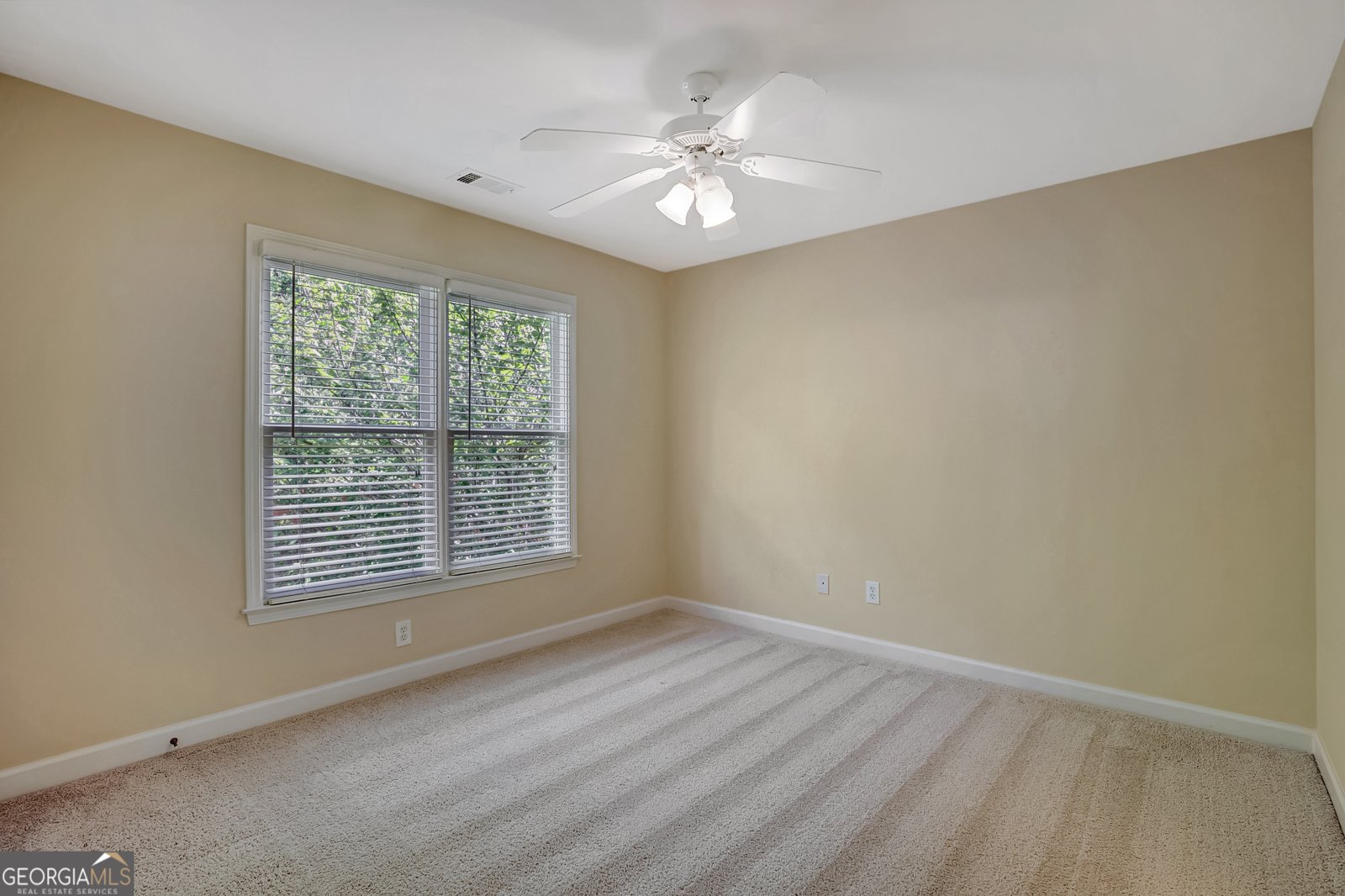 111 Green Branch Drive Tyrone - Photo 50