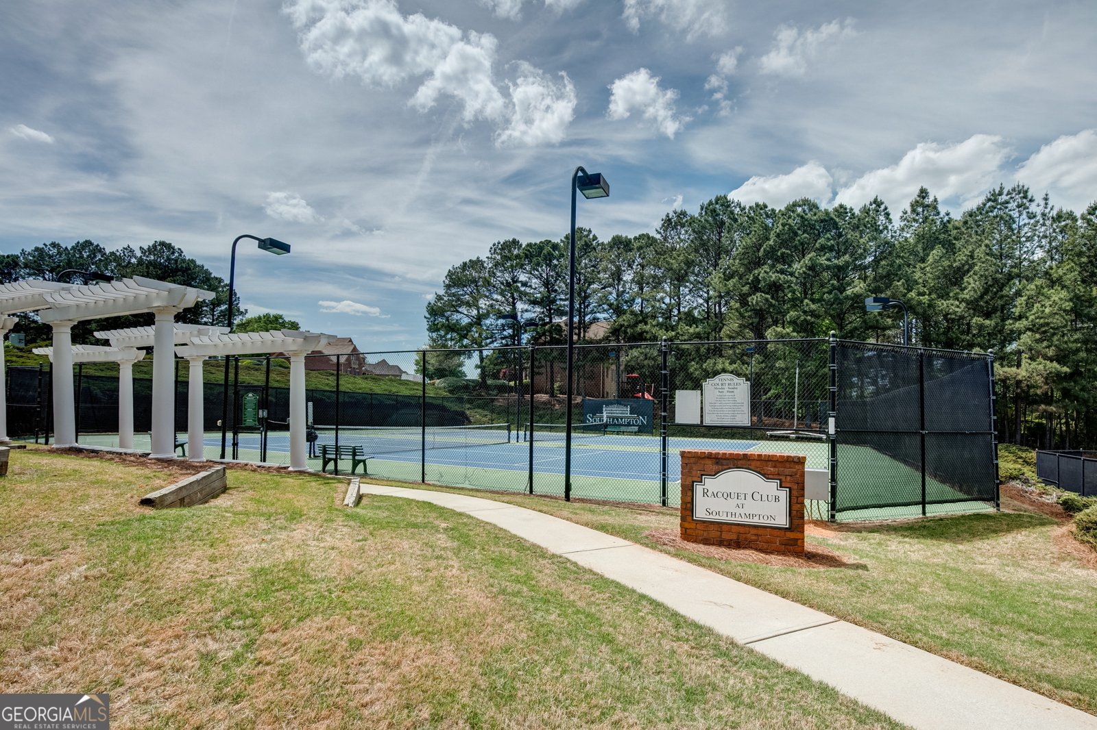 111 Green Branch Drive Tyrone - Photo 66