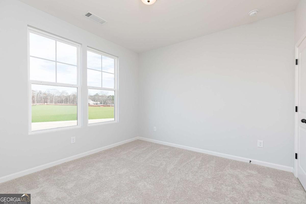 317 Chattahoochee Circle Locust Grove - Photo 30