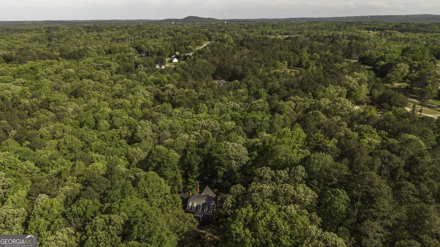 99 Oakland Court Tallapoosa - Photo 11