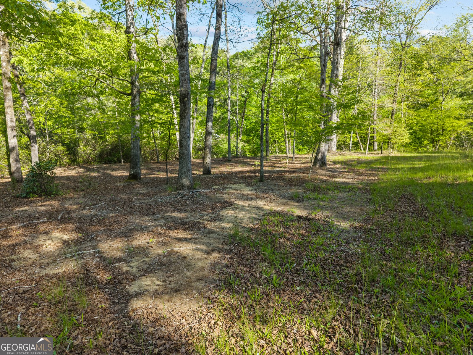 1070 Riverwalk Point Bishop - Photo 54