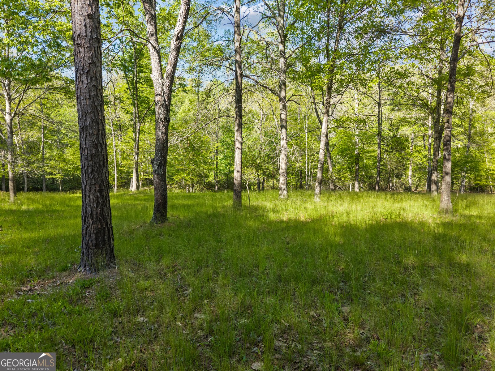 1070 Riverwalk Point Bishop - Photo 62