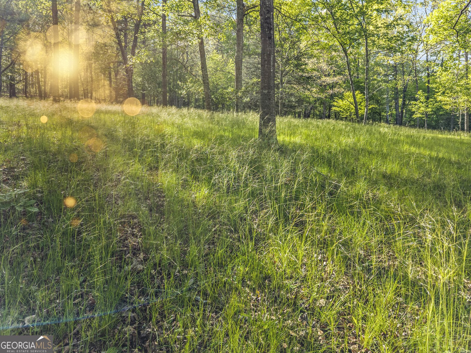 1070 Riverwalk Point Bishop - Photo 74