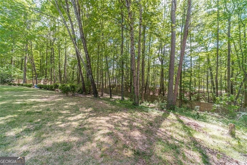 395 Amberbrook Circle Grayson - Photo 61