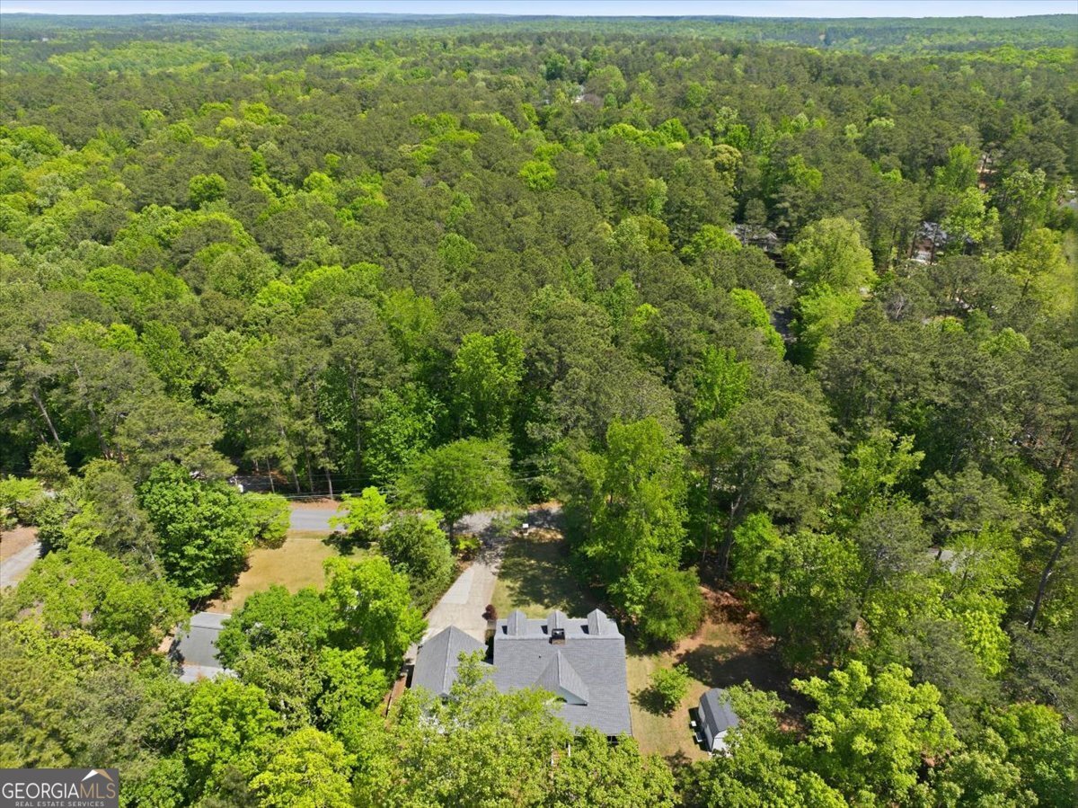 5567 Fisherman Court Villa Rica - Photo 55