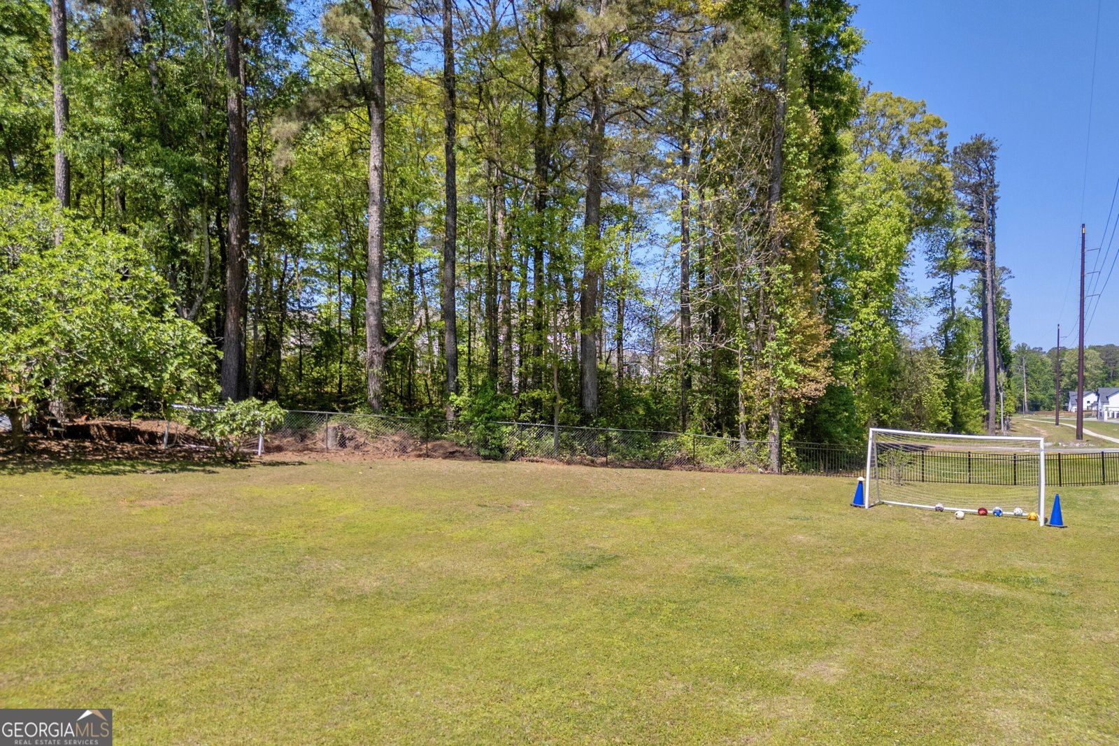 1729 Chandler Road Lawrenceville - Photo 45