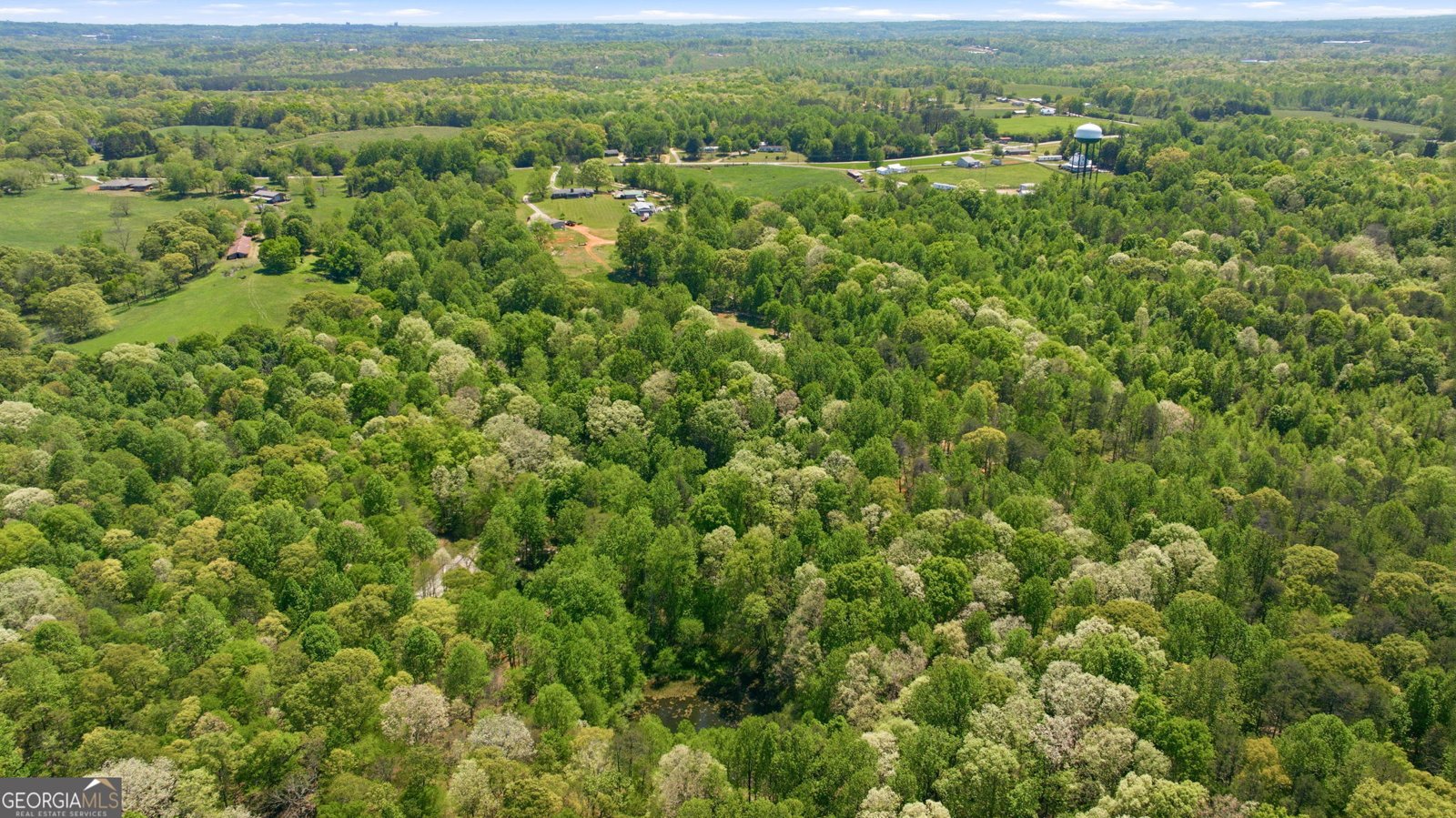 3617 Pea Ridge Road Cornelia - Photo 101