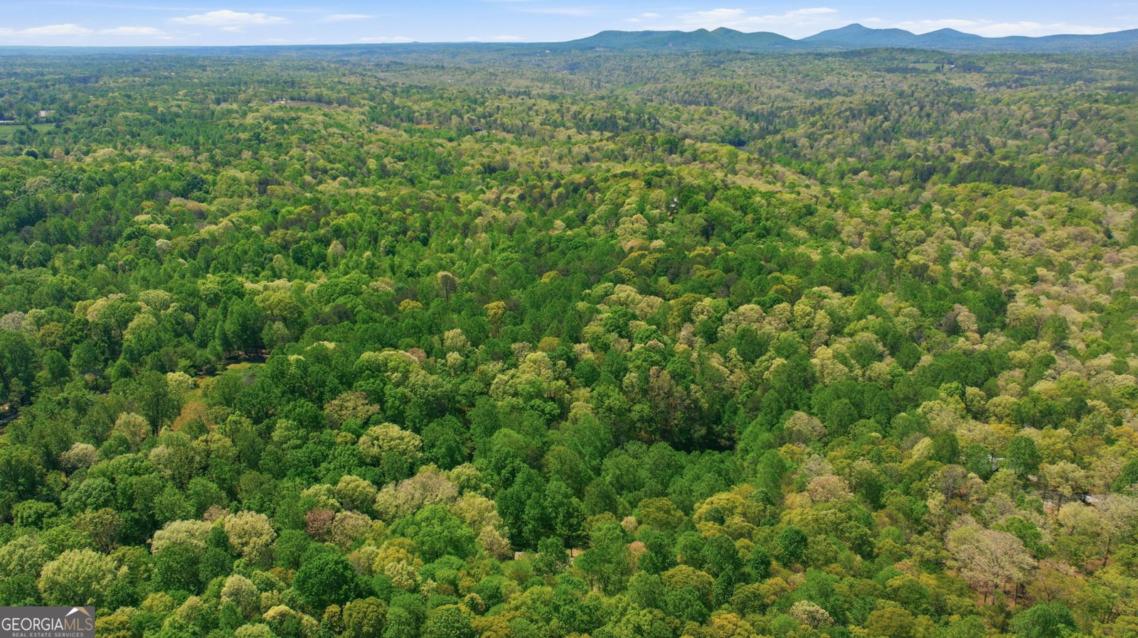 3617 Pea Ridge Road Cornelia - Photo 103