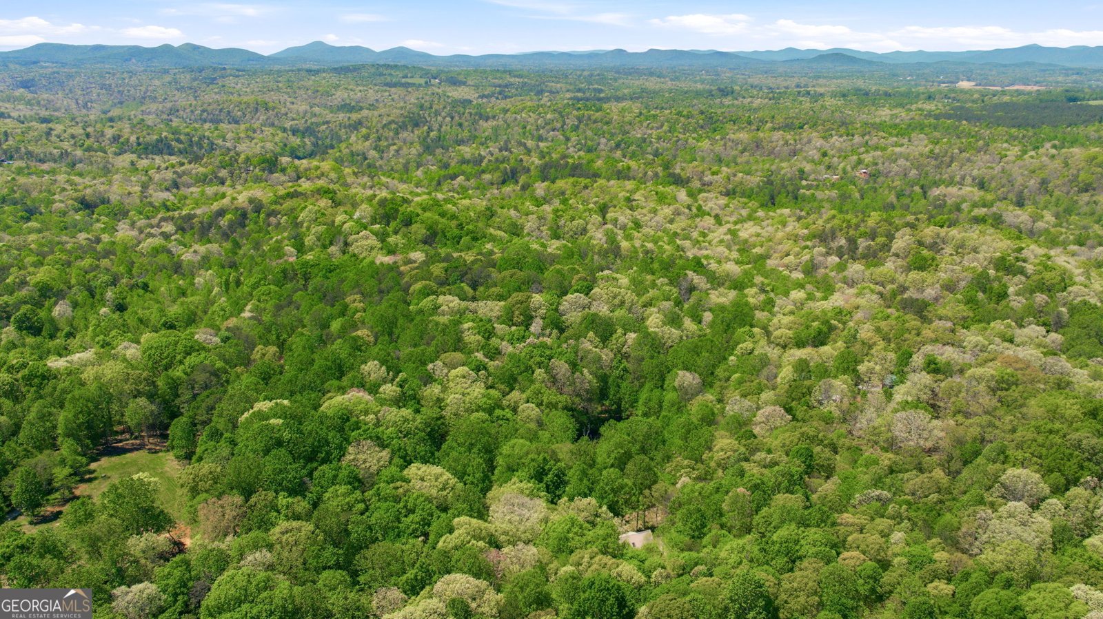 3617 Pea Ridge Road Cornelia - Photo 104